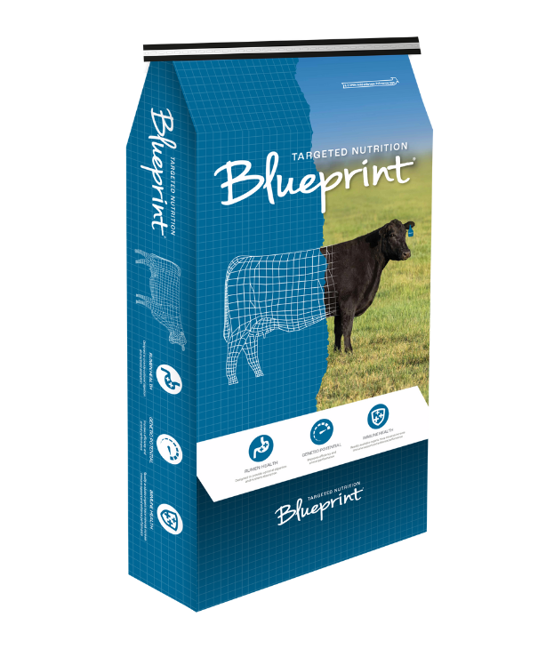 Blueprint Cattle Milk Replacer