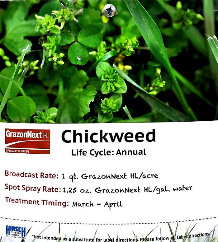 Chickweed Killer 700