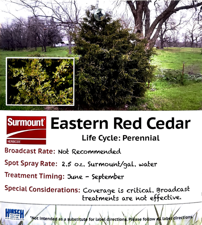 Eastern Red Cedar Killer 700