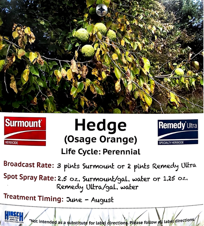 Hedge Killer 700