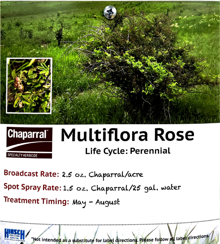 Multiflora Rose Killer 700