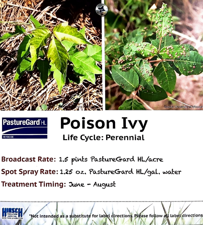Poison Ivy Killer 700