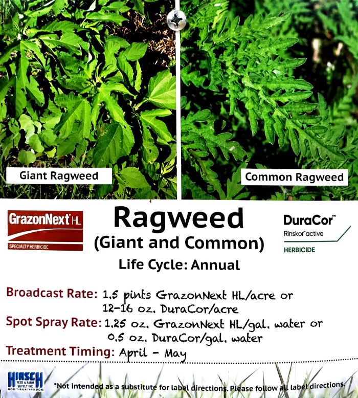 Ragweed Killer 700